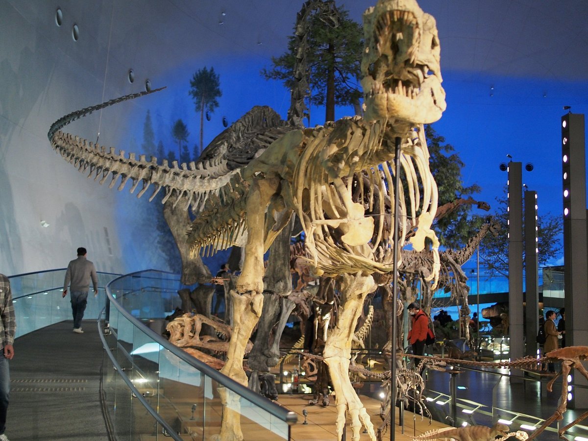 🦖 후쿠이역 서쪽 출구 공룡 광장 (후쿠이역 니시구치 쿄류 히로바) 이미지 10